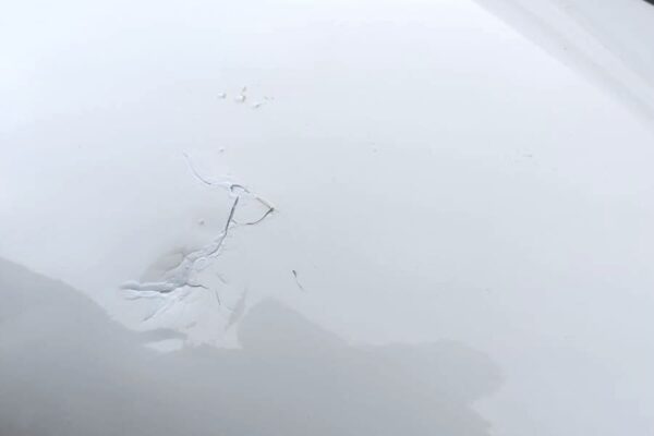 WhatsApp Image 2024-05-07 at 15.33.52-min WhatsApp Image 2024-05-07 at 15.33.52-min